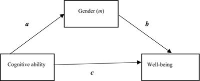 Cognitive ability, gender, and well-being in school contexts: longitudinal evidence from Sweden